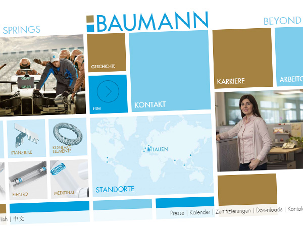 Website Baumann Springs